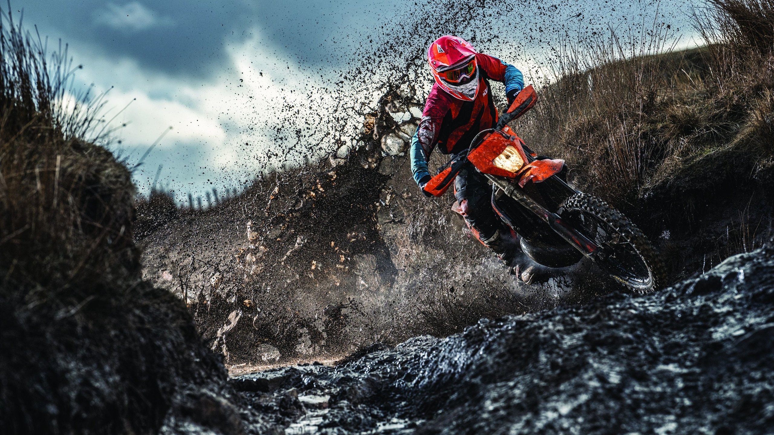 青年体育人才培养月活动启动汇聚全国资源支持未来之星,青年体育教师培训心得体会